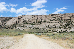 Trail to Martins Cove