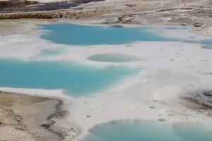 Blue Pools in Norris Geyser Basin
