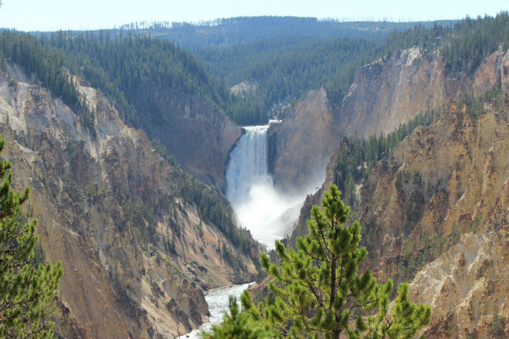 Lower Yellowstone Falls