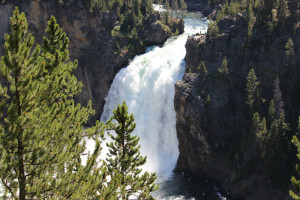 Upper Yellowstone Falls