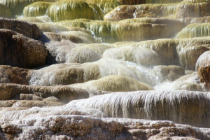 Mammoth Hot Springs Terraces