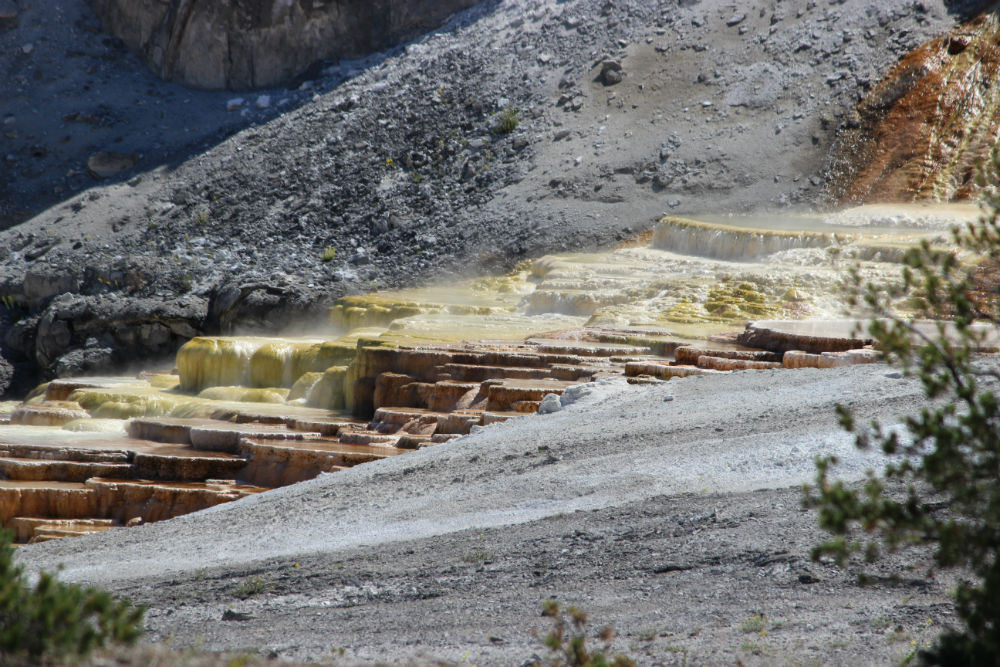 Mammoth Hot Springs Terraces