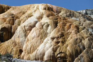 Mammoth Hot Springs Terraces