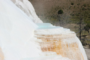 Terraces at the Canary Springs Trail