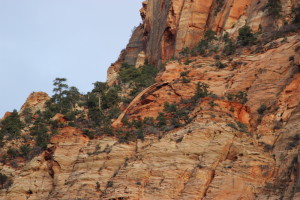 Natural Bridge on Bridge Mountain