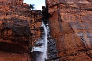 Waterfall In Zion National Park