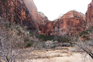 Zion Waterfall