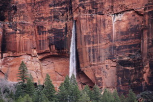Zion Waterfall Closeup