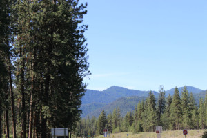 Montana Rest Stop