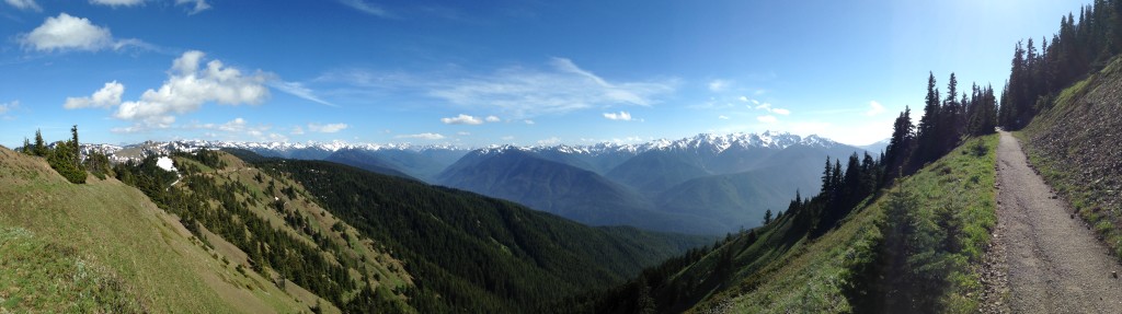 Panoramic View of Mountains in Olympic National Park