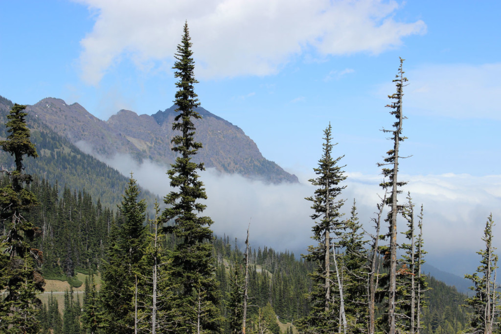 Olympic National Park Mountains