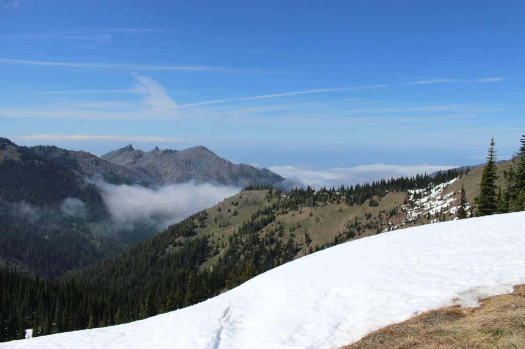 Olympic National Park