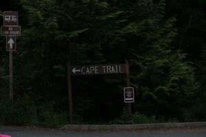 Cape Flattery Trail Head