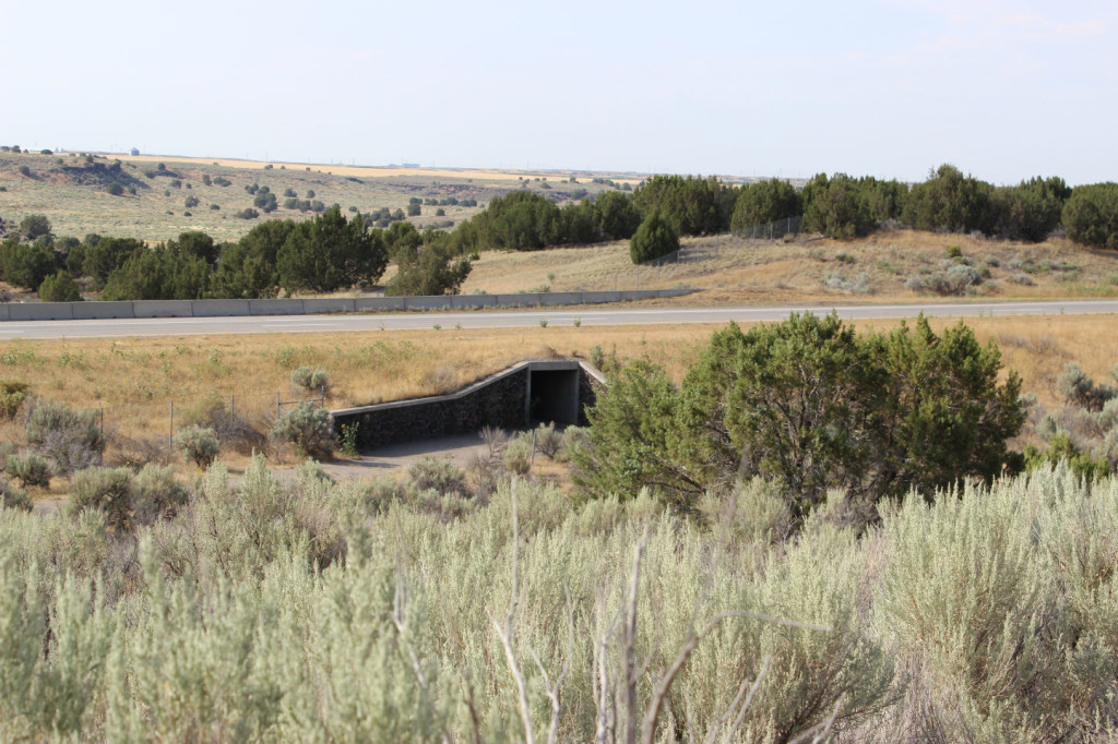 Tunnel Under the Freeway from Massacre Rocks State Park to the Oregon Trail Ruts