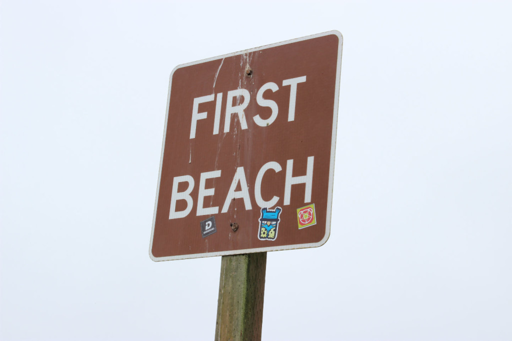 We are at First Beach on the Quileute Indian Reservation.