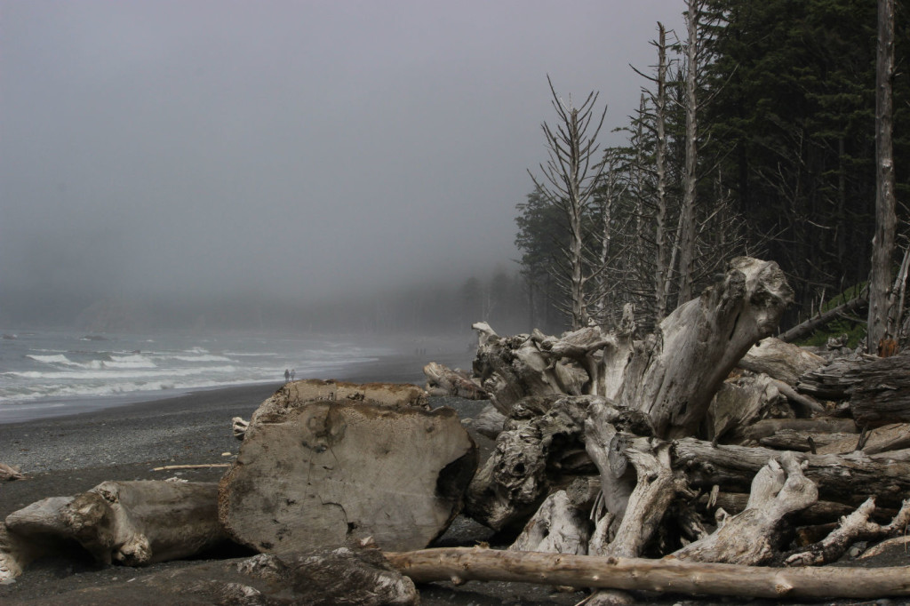 Rialto Beach