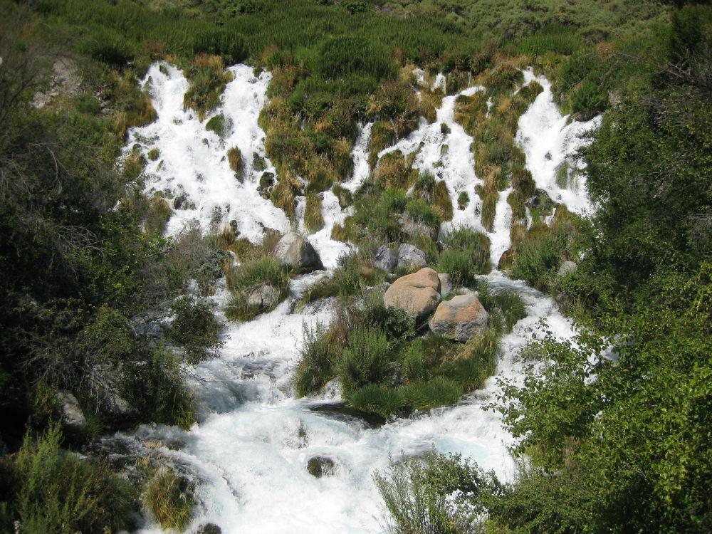 Niagara Springs